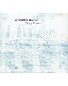 Winter Poems