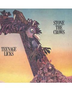 Teenage Licks