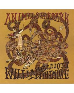 Animals In The Dark