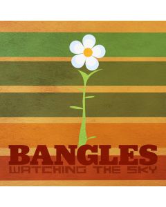 Watching The Sky