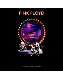 Delicate Sound Of Thunder