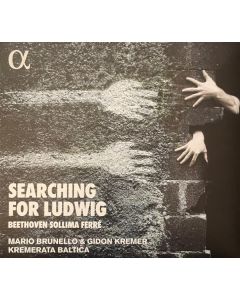 Searching For Ludwig