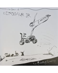 Ear-Bleeding Country: The Best Of Dinosaur Jr.