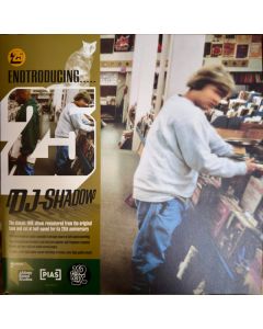 Endtroducing.....
