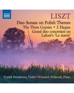 Duo Sonata On Polish Themes / The Three Gypsies / 2 Elegies / Grand Duo Concertant On Lafont's 'Le Marin'