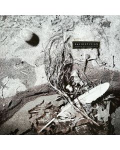 Secrets Of The Beehive