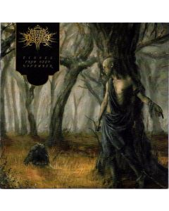 Echoes From Deep November