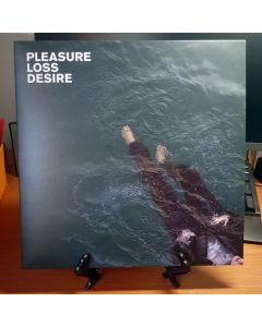 Pleasure Loss Desire