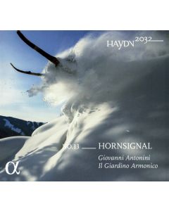Hornsignal