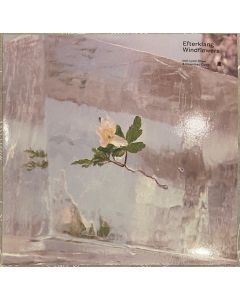 Windflowers