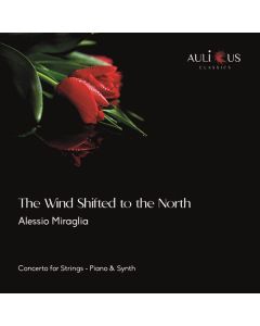 The Wind Shifted To The North (Concerto For Strings - Piano & Synth)