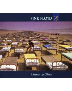 A Momentary Lapse Of Reason