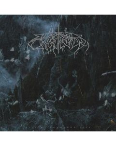 Live At Roadburn 2008