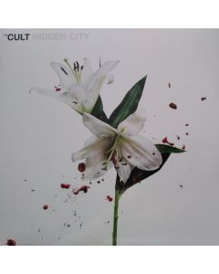 Hidden City