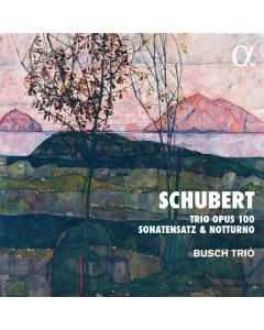 Trio Opus 100, Sonatensatz & Notturno