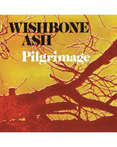 Pilgrimage