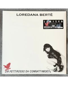 Un Pettirosso Da Combattimento