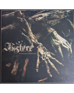 The Stillness Of Dissolution