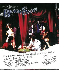 The Triffids Present The Black Swan