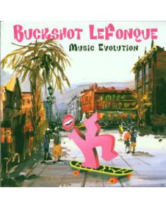 Music Evolution