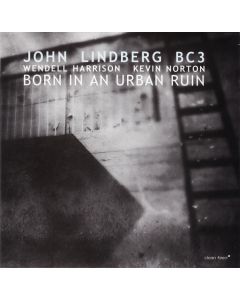 Born In An Urban Ruin