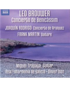 Concierto de Benicàssim