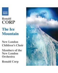 The Ice Mountain