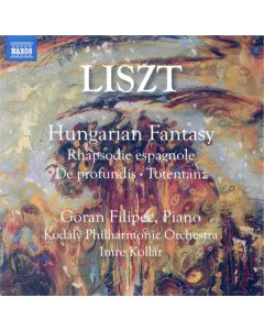 Fantasia On Hungarian Folk Themes