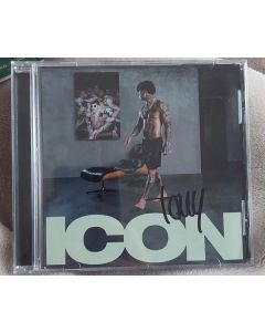 Icon