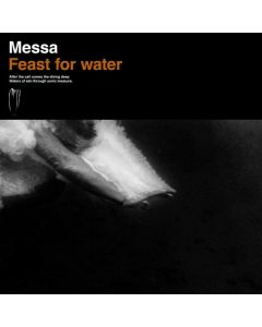 Feast For Water