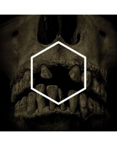 [ The Others ]