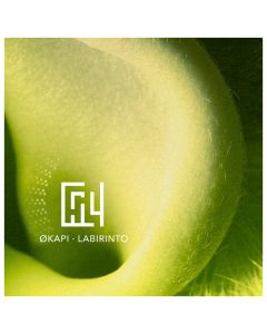 Labirinto