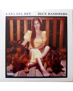 Blue Banisters
