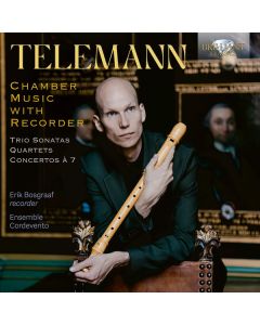 Chamber Music With Recorder