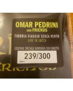 Timoria Viaggio Senza Vento Live In Lucca