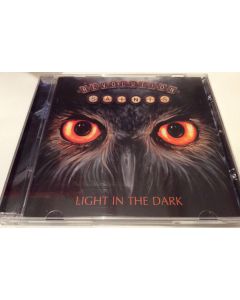 Light In The Dark
