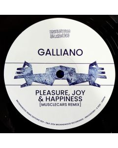 Pleasure, Joy & Happiness / Circles Going Round The Sun