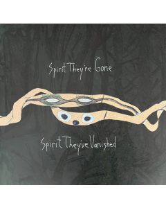 Spirit They're Gone Spirit They've Vanished