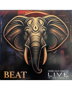 Neon Heat Disease Live In Los Angeles