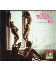 The Mood Mosaic 20 - This Is Hot New