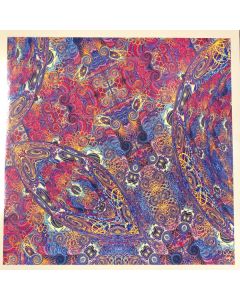 Placenta