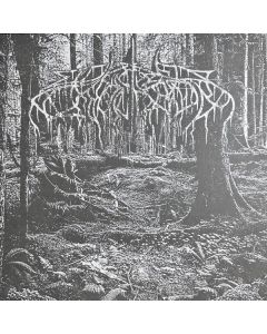 Wolves In The Throne Room