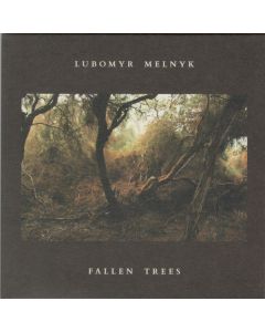 Fallen Trees