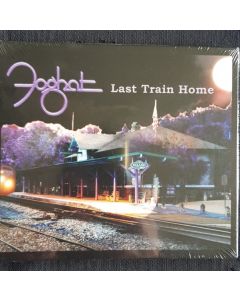 Last Train Home