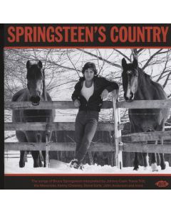 Springsteen's Country