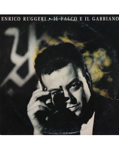 Il Falco E Il Gabbiano