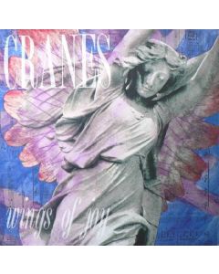 Wings Of Joy