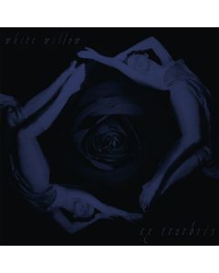 Ex Tenebris