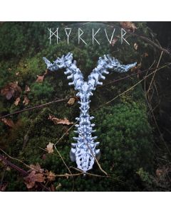 Spine