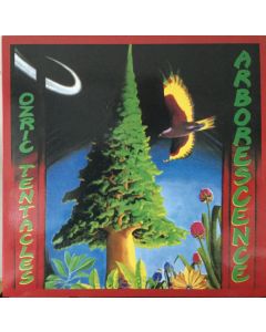Arborescence